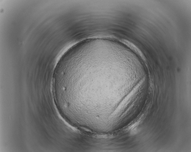 X0000076430855200610271731