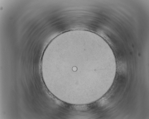 X0000076430856200610271731