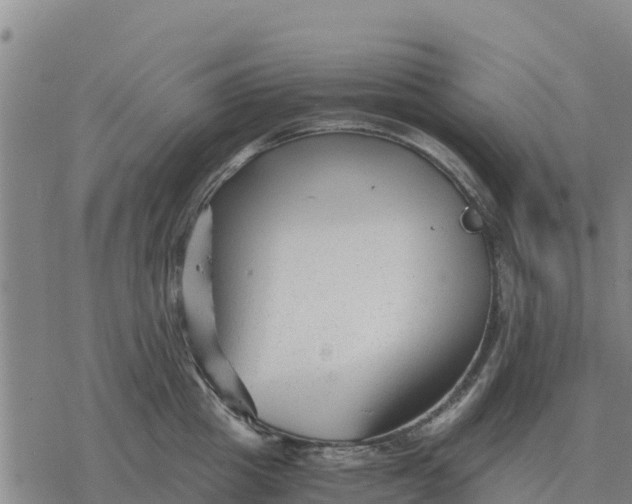 X0000076430857200610271731