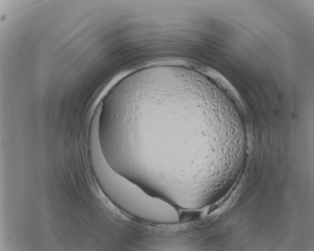 X0000076430860200610271731