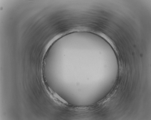 X0000076430861200610271731