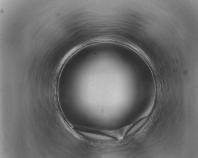 X0000076430862200610271731