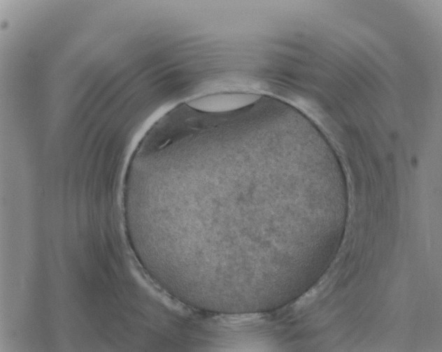 X0000076430864200610271731