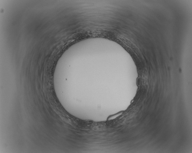 X0000076430865200610271731