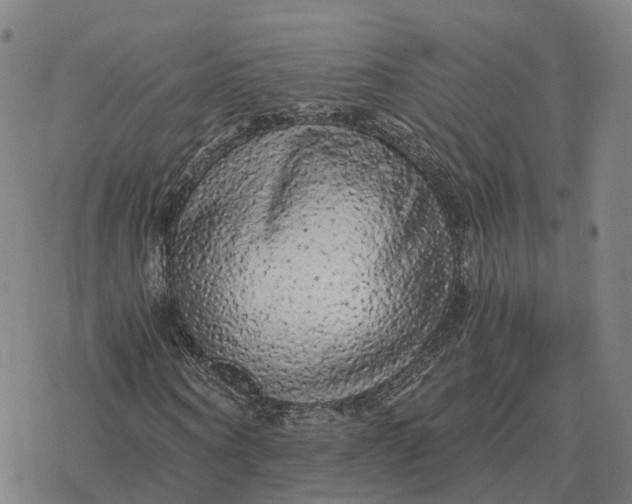 X0000076430866200610271731