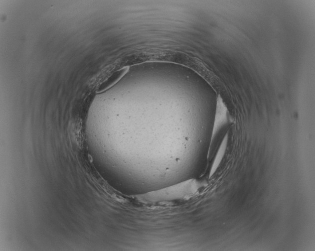 X0000076430867200610271731