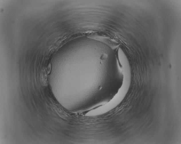 X0000076430868200610271731