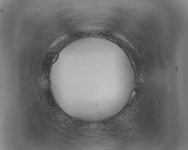 X0000076430869200610271731