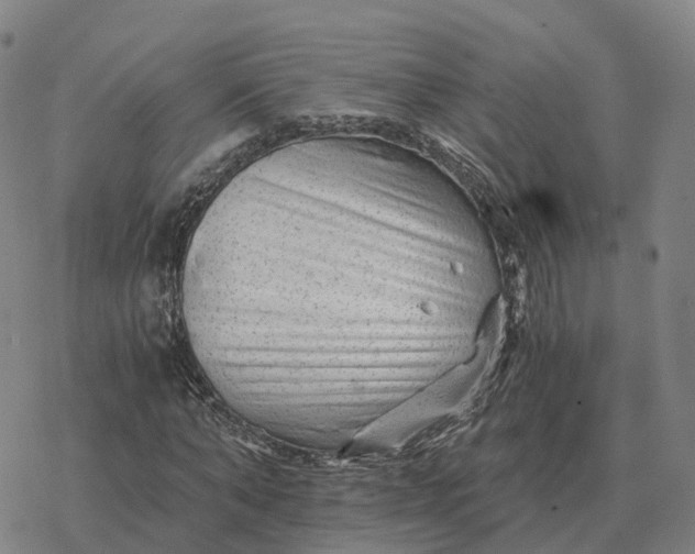 X0000076430870200610271731