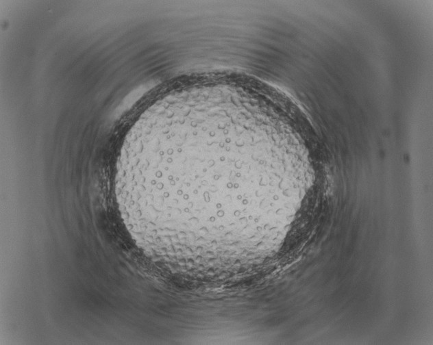 X0000076430871200610271731