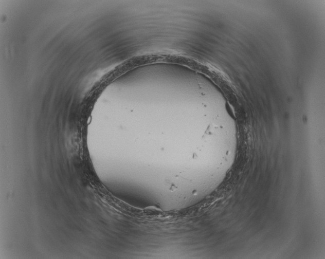 X0000076430872200610271731