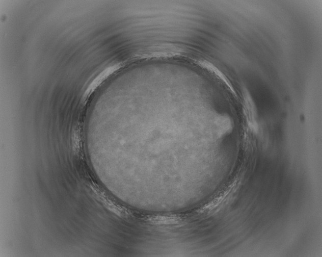 X0000076430874200610271731