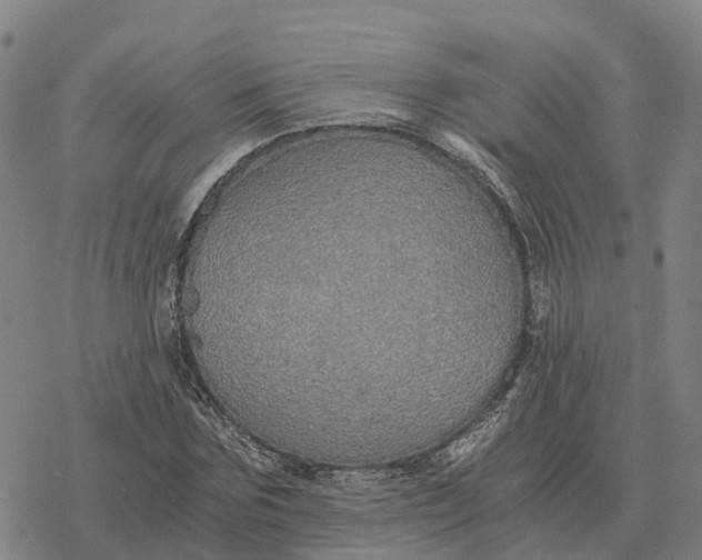 X0000076430875200610271731