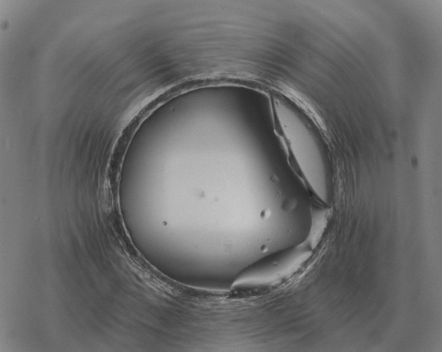 X0000076430876200610271731