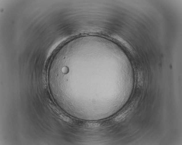 X0000076430878200610271730