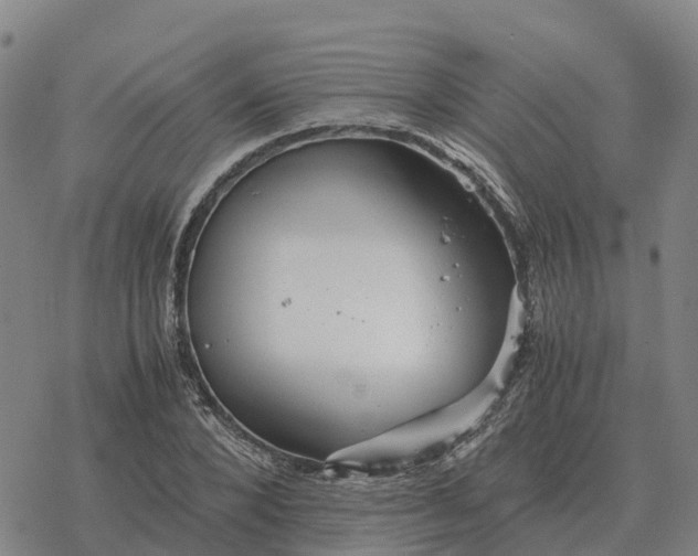 X0000076430880200610271730