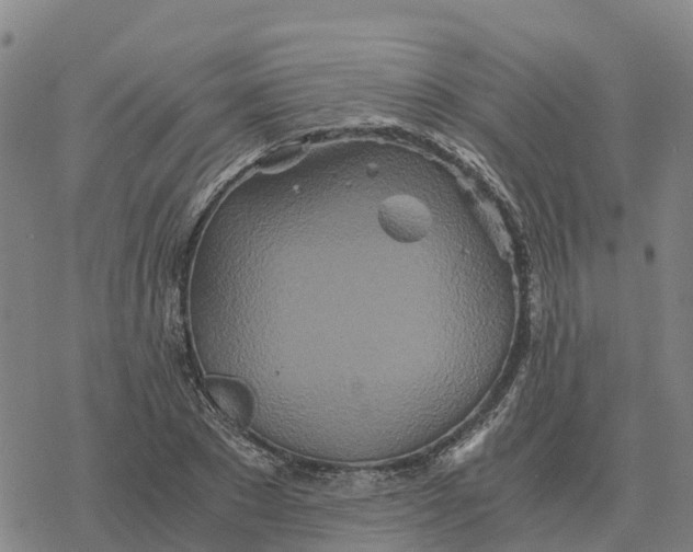 X0000076430881200610271730