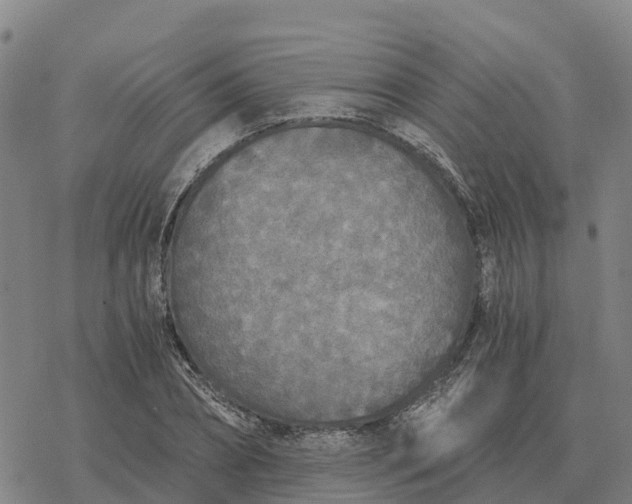 X0000076430882200610271730