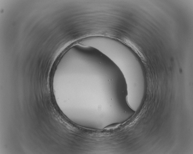 X0000076430884200610271730