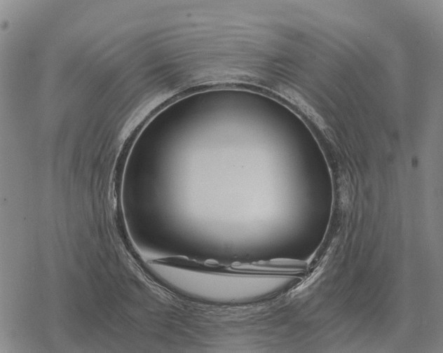 X0000076430885200610271730