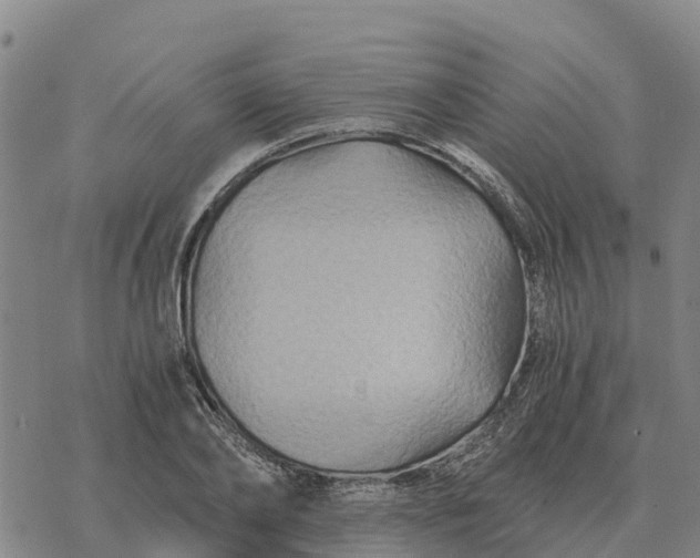 X0000076430886200610271730