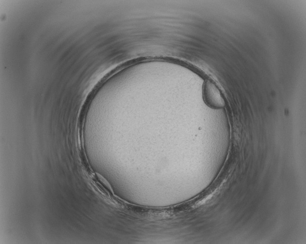 X0000076430887200610271730