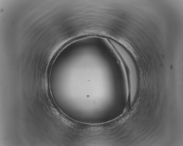 X0000076430888200610271730