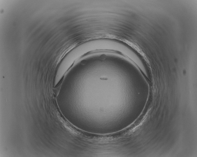 X0000076430889200610271730