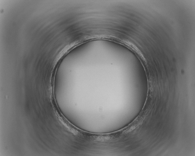 X0000076430890200610271730