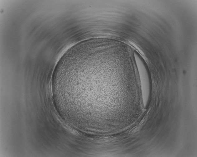 X0000076430891200610271730