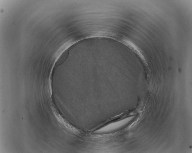 X0000076430892200610271730