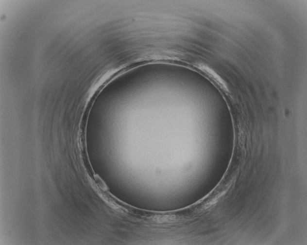 X0000076430893200610271730