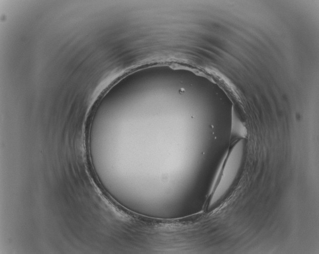 X0000076430894200610271730