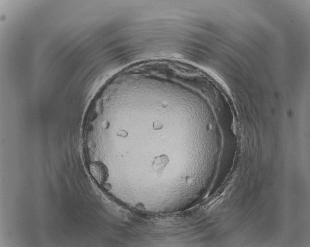 X0000076430895200610271730