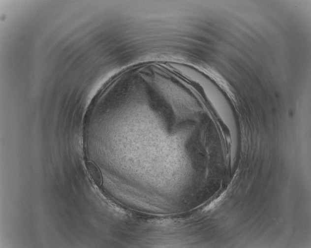 X0000076430896200610271730