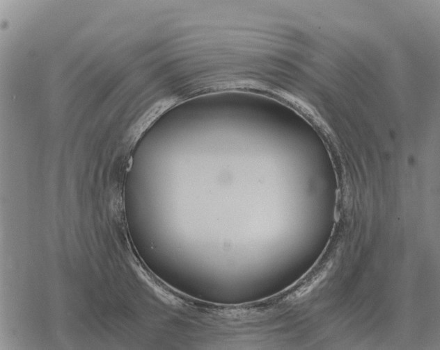 X0000076430897200610271730