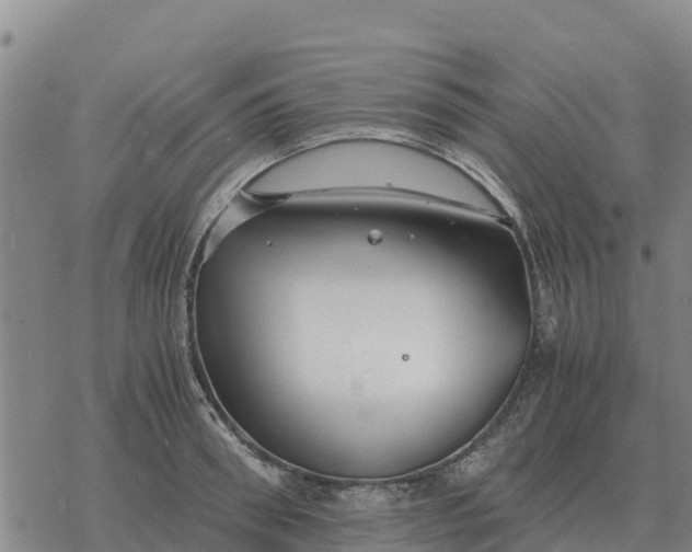 X0000076430898200610271730