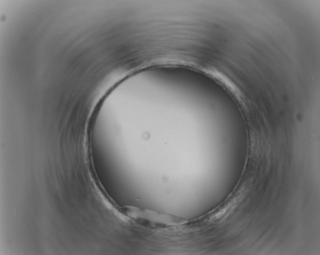 X0000076430902200610271730