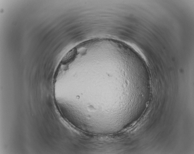 X0000076430903200610271730