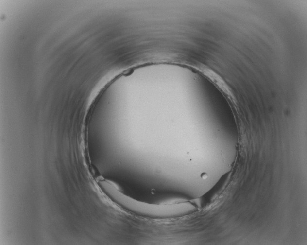 X0000076430904200610271730