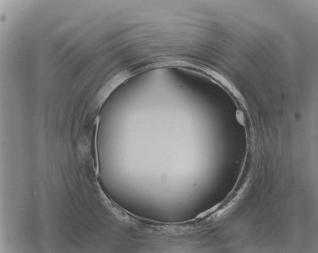 X0000076430905200610271730