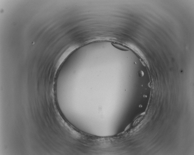 X0000076430906200610271730