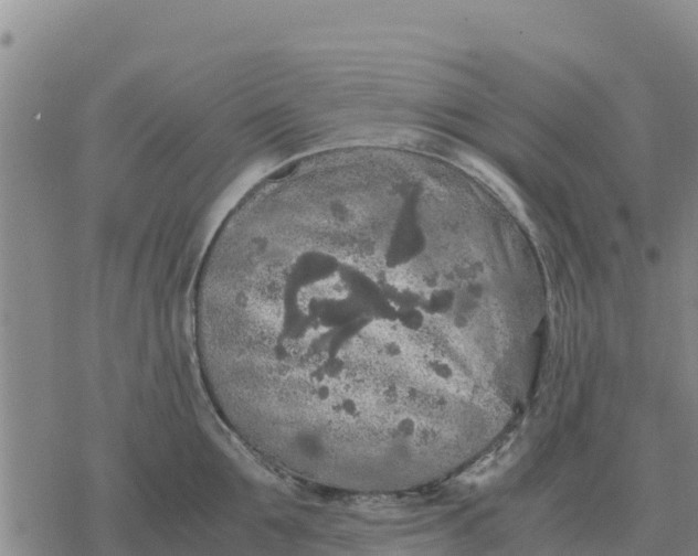 X0000076430907200610271730