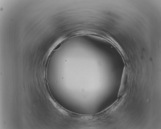 X0000076430909200610271730