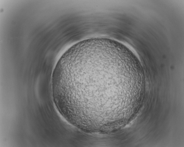 X0000076430911200610271730