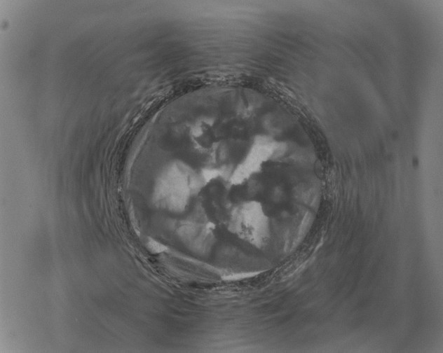 X0000076430913200610271729