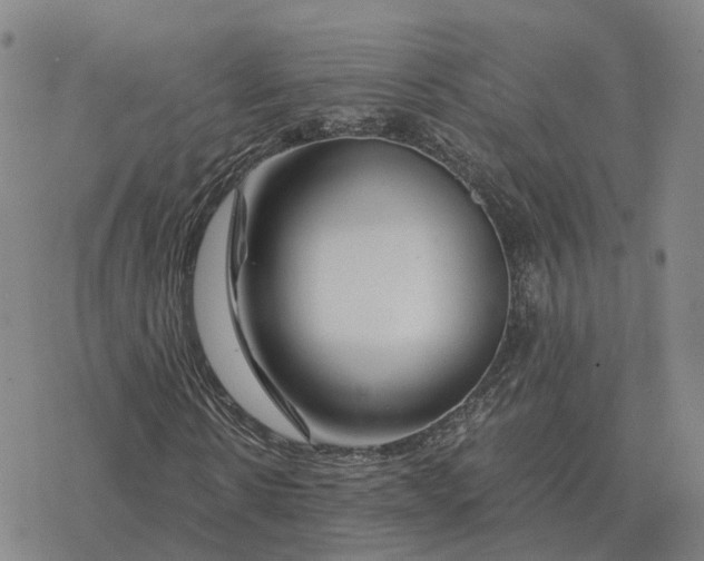 X0000076430914200610271729