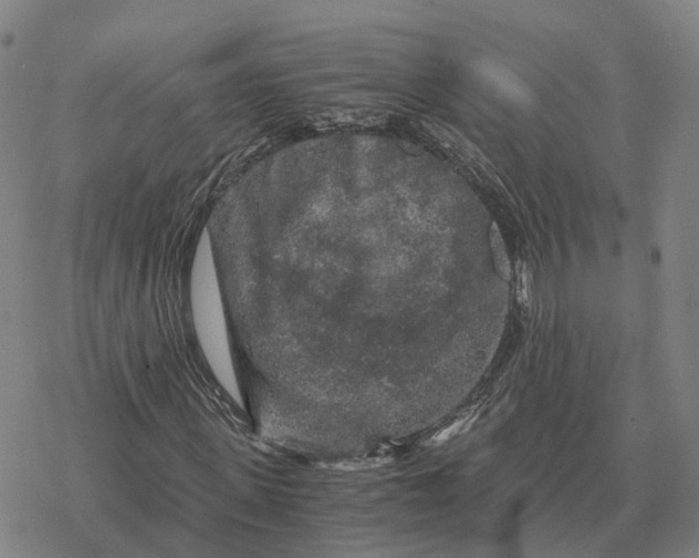 X0000076430915200610271729