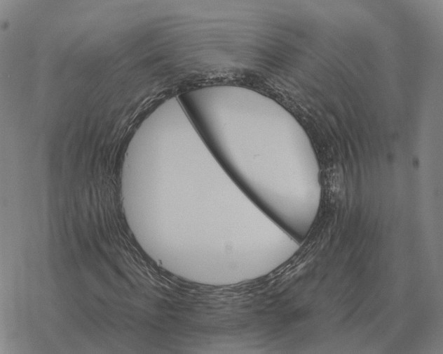 X0000076430916200610271729