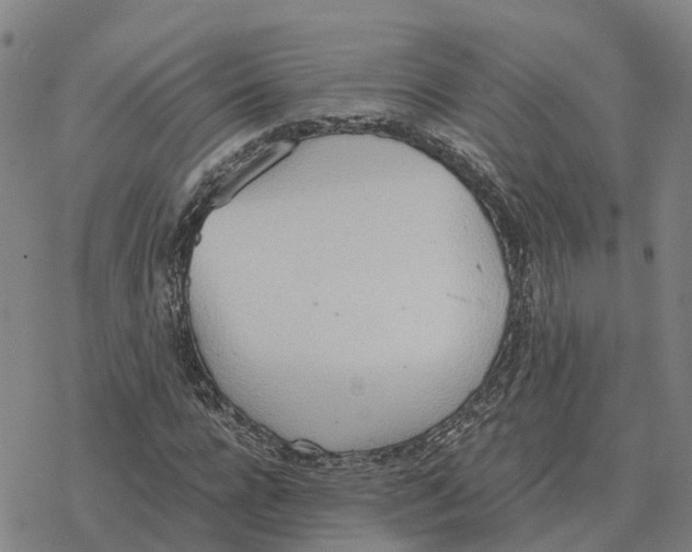 X0000076430920200610271729